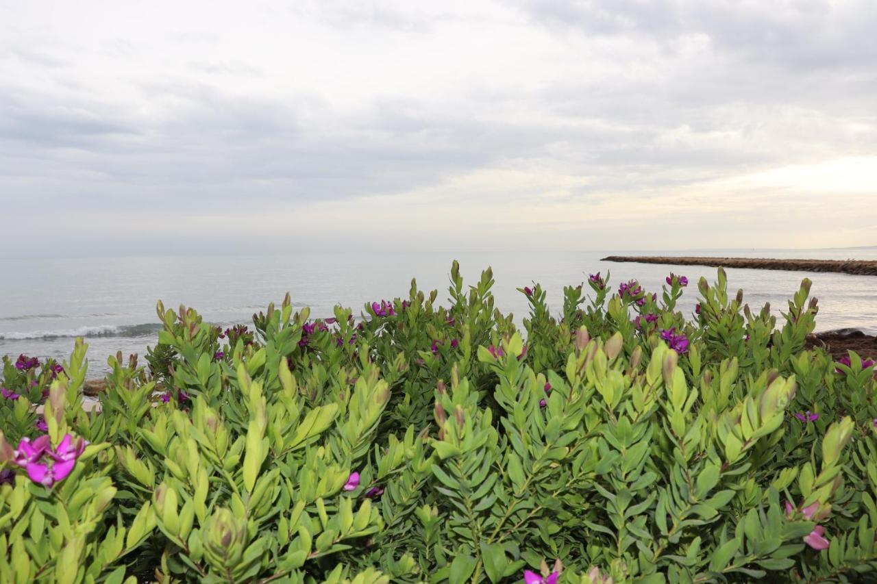 Carmen Apartments With Sea View Near Alicante سانتا بولا المظهر الخارجي الصورة